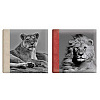 Wild Life 200 фото 10x15 кармашки book bound memo Q8905289 (арт.5-15166)