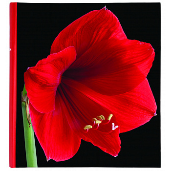 Botanics Deluxe 100 стр. 29x32 под уголки Красный Q6702231 (арт.5-06985)
