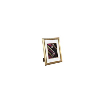 20x25 PLF52G Poster пластик (арт.5-22572)