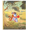 World disney: Heroes на 304 фото 10x15 кармашки LM-4R304 (46511) (арт.5-40444)
