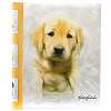 K.Kimberlin: F.Puppies на 40 магнитных стр. 23x28, спираль LM-SA20 (46356) (арт.5-41122)