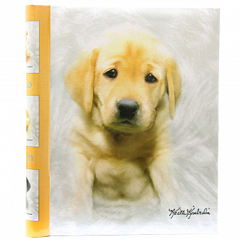 K.Kimberlin: F.Puppies на 40 магнитных стр. 23x28, спираль LM-SA20 (46356) (арт.5-41122)