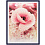 30x40 (124659) poster blue, пластик (арт.5-12047)