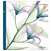 Botanics II 100 стр. 29x32 под уголки (3 design) Q6708443 (арт.5-34860)