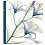 Botanics II 100 стр. 29x32 под уголки (3 design) Q6708443 (арт.5-34860)