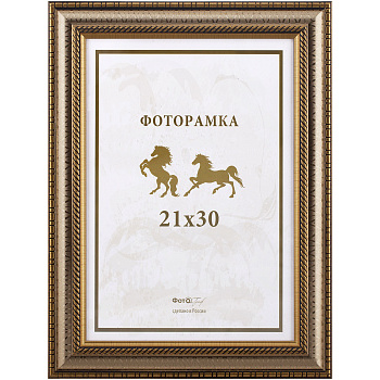 21x30 (A4) 139G-8 широкая золот.с 2 зол.кантами (арт.5-07529)