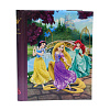 World disney: Princess на 40 магнитных стр. 23x28, спираль LM-SA20 (46562) (арт.5-40551)