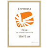 50x70 алюминий 23мм золото матовое (арт.5-11788)