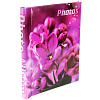 Spring flowers 2 на 20 магнитных стр. 23x28, спираль LM-SA10 (59748) (арт.5-40509)