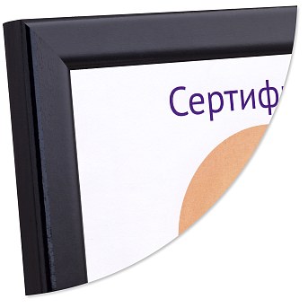 29.7x42 (A3) 5006-12B черный, МДФ со стеклом (арт.5-34799) — фото 1