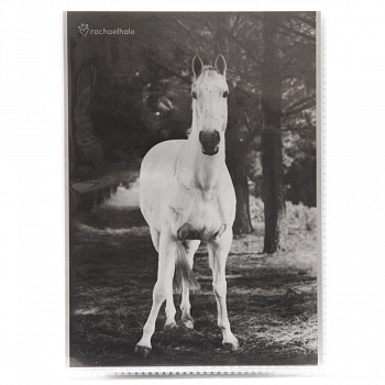 R.Hale: Animals black and white на 36 фото 10x15 кармашки LM-4R36/S (46819) (арт.5-40142)