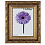 15x20 Delia пластик золото, с пластиком (арт.5-42035)