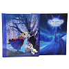 World disney: Frozen sisters на 40 магнитных стр. 23x28, спираль LM-SA20 (34092) (арт.5-41005)
