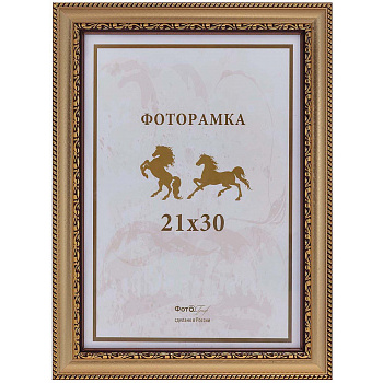 21x30 (A4) 105G-8 зол.с 2 зол.кантами (арт.5-07064)