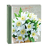Серия 271 на 100 магнитных стр. 23x28 SA-50RB-P (арт.5-44096)
