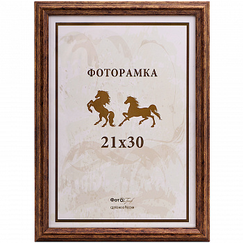 21x30 (A4) 048G-8 медь, пластик (арт.5-06742)