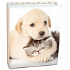 Puppies and kittens на 200 фото 10x15 кармашки LM-4R200 (64450) (арт.5-41066)
