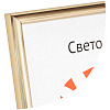 21x30 (A4) 111 пластик 14мм золото (арт.5-11113)