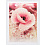30x40 (124657) poster white, пластик (арт.5-12044)