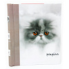 K.Kimberlin: F.Kittens на 20 магнитных стр. 23x28, спираль LM-SA10 (46345) (арт.5-40522)
