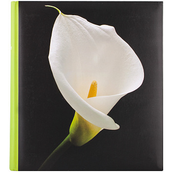 Botanics Deluxe 100 стр. 29x32 под уголки Зеленый Q6702231 (арт.5-06984)