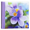 Breathe на 200 фото 10x15 кармашки, memo LM-4R200PPBB (46794) (арт.5-41353)