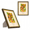 15x21 (А5) 582 Emafyl Luce 2 темный орех (арт.5-25413)