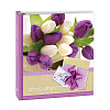 Серия 224 на 100 магнитных стр. 23x28 SA-50RB-P (арт.5-44077)