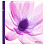 Botanics II 100 стр. 29x32 под уголки (3 design) Q6708443 (арт.5-34860)