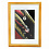 15x21 (А5) WF23 (19706) color mix дерево, со стеклом (арт.5-41452)