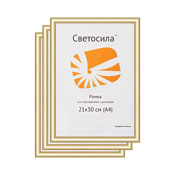 21x30 (A4) НАБОР 3шт 111 пластик 14мм золото (арт.5-11113-3)