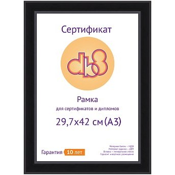 29.7x42 (A3) пластик черный, с пластиком (арт.5-39958) — фото 2