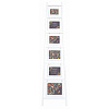 10x15 13x18 15x20 20x25 PI06404 Casa Ladder 172x42cm White (арт.5-15971)