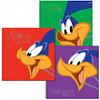 Road runner 300 фото 10x15 кармашки BBM46300/2 (арт.5-24425)