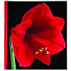 Botanics Deluxe 100 стр. 29x32 под уголки Красный Q6702231 (арт.5-06985)