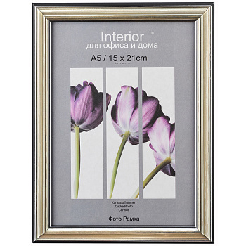 15x21 (А5) 290 серебро, со стеклом (арт.5-11747)