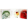 Inspiration на 200 фото 10x15 кармашки, memo LM-4R200CPPBB (11007) (арт.5-41086)