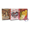Love & chocolate на 200 фото 10x15 кармашки LM-4R200 (8985) (арт.5-41080)