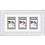 20x40 Vermont white silver, с паспарту (арт.5-11916)