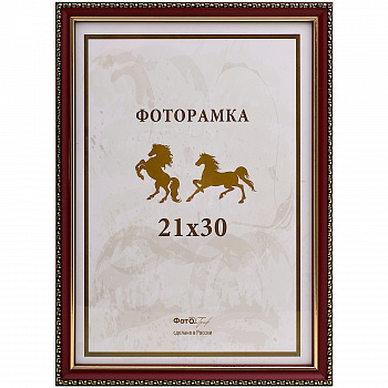 21x30 (A4) 045G-8 красно-корич., с 2 зол.кантами (арт.5-06735)