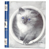 K.Kimberlin: F.Kittens на 40 магнитных стр. 23x28, спираль LM-SA20 (46351) (арт.5-40566)